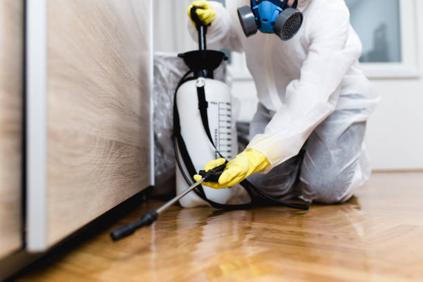 Best Affordable Pest Control Services  in Grove City, PA
