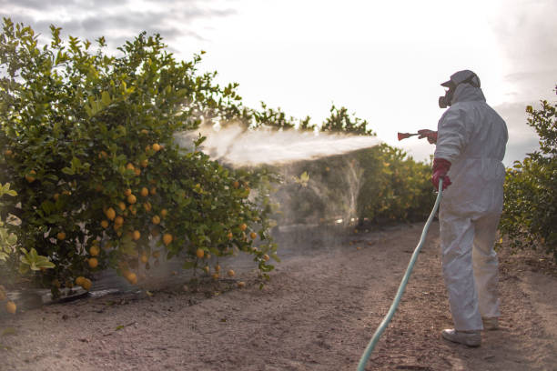 Best Emergency Pest Control  in Grove City, PA