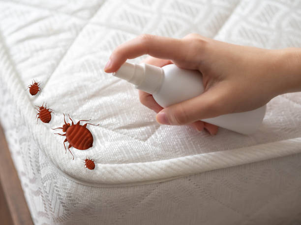 Best Best Pest Control Companies  in Grove City, PA