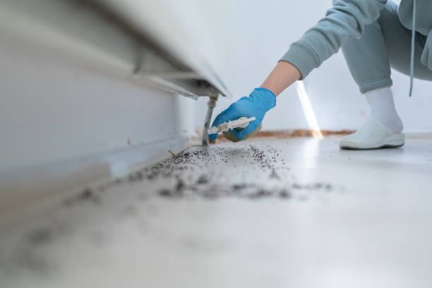 Best Cockroach Control Services  in Grove City, PA